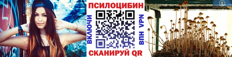 Псилоцибиновые грибы мицелий  ссылка на мегу как войти  Нахабино 